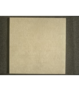 Gres na podłogę 100x100...